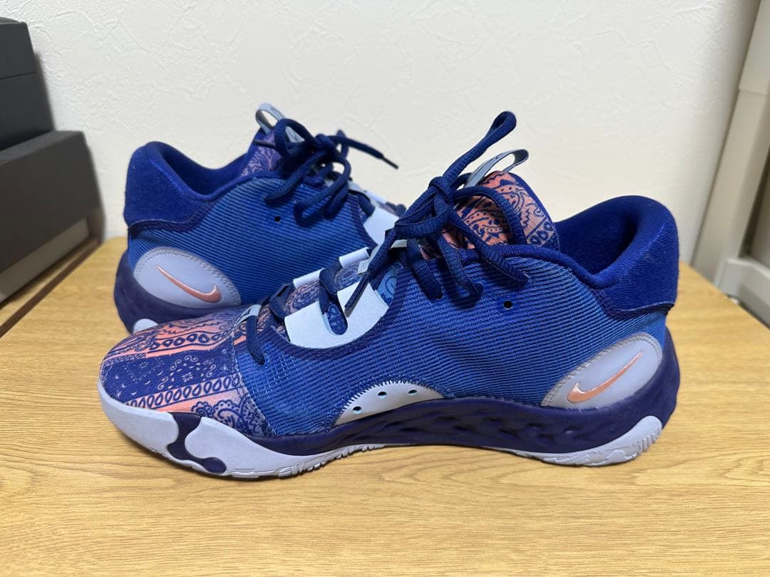 シューズ(男性用) NIKE PG6