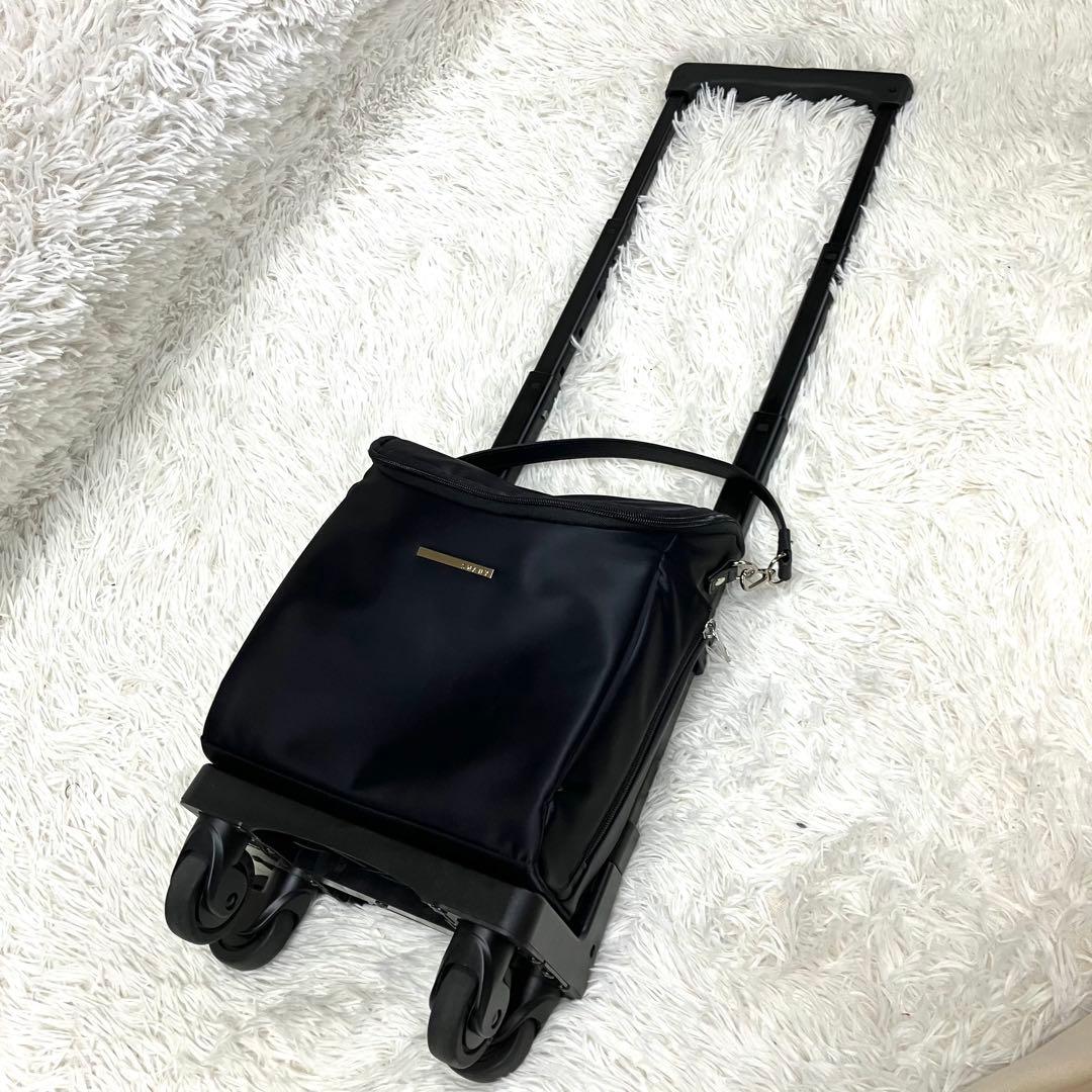【美品】SWANY スワニー　キャリーバッグ　2WAY ブラック