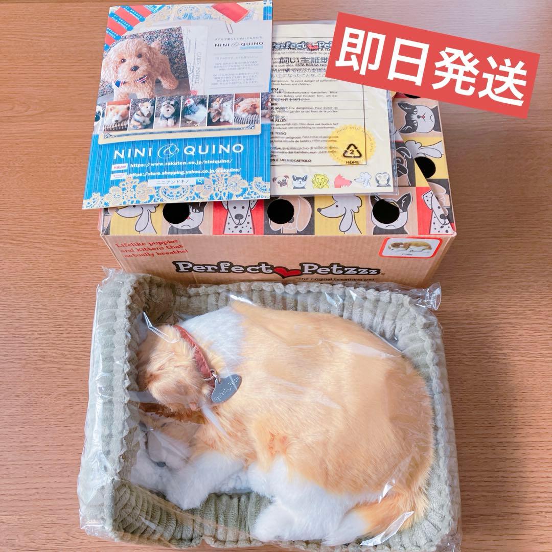 【新品】 ニニアンドキノ パーフェクトペット コリー 小型犬 リアル 動物
