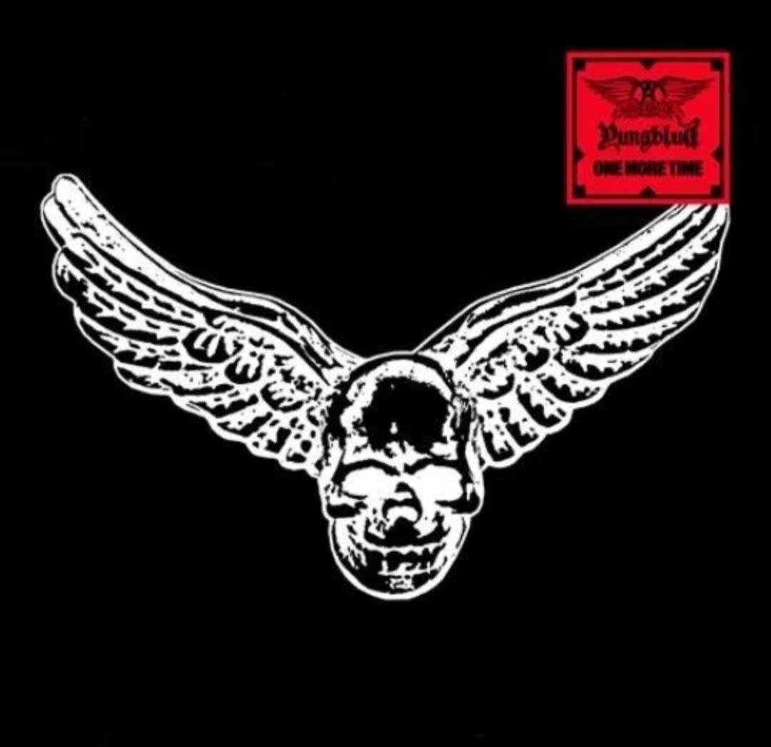 エアロスミス & ヤングブラッド　オリジナルTシャツ　非売品