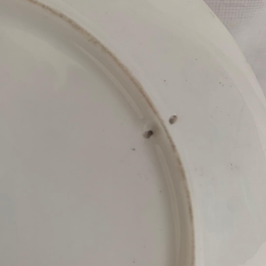 中国美術 粉彩皿 名工 広西北流 24cm唐物/景徳鎮