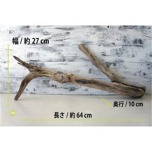 流木 ３本セット インテリア 大型サイズ オブジェ 登り木 爬虫類 送料無料