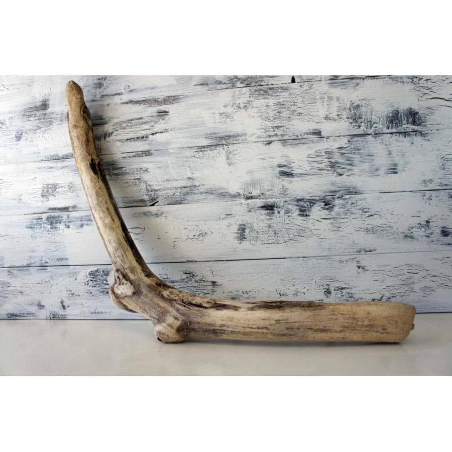 流木 ３本セット インテリア 大型サイズ オブジェ 登り木 爬虫類 送料無料