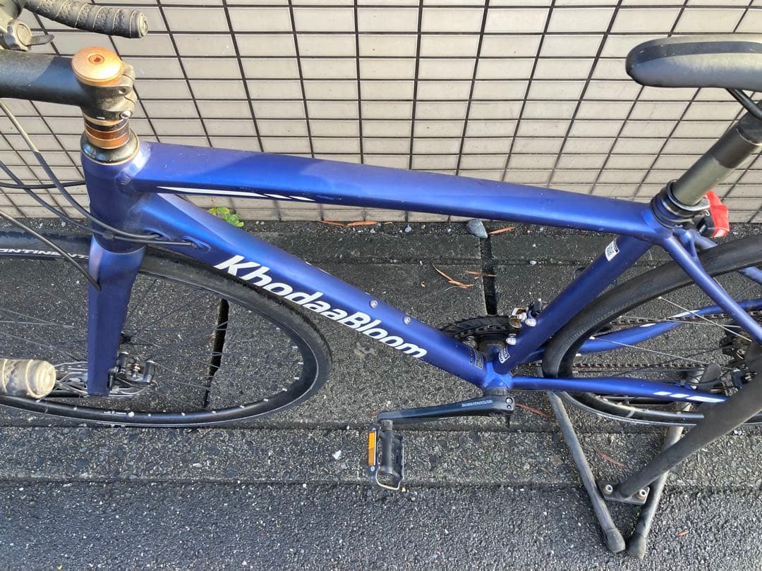 送料込 コーダーブルーム KhodaaBloom FARNA DISC 105