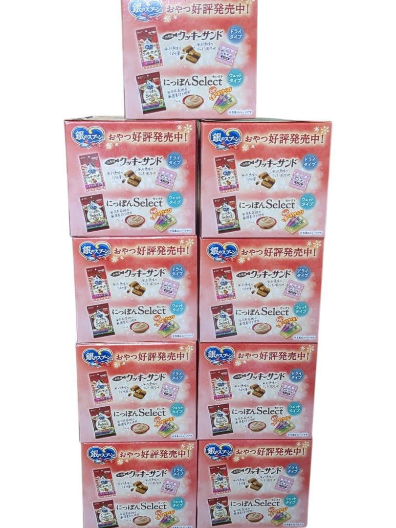 銀のスプーン にゃんスプーン 10g×40本×9箱 限定 にゃん 猫 ネコ エサ