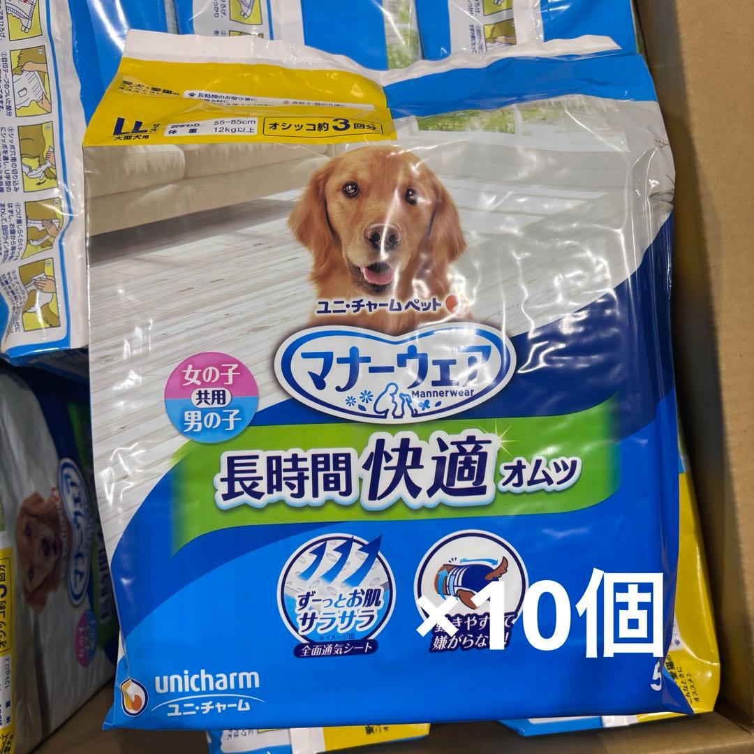 マナーウェア共用L Lサイズ 5枚入×10個セット♪