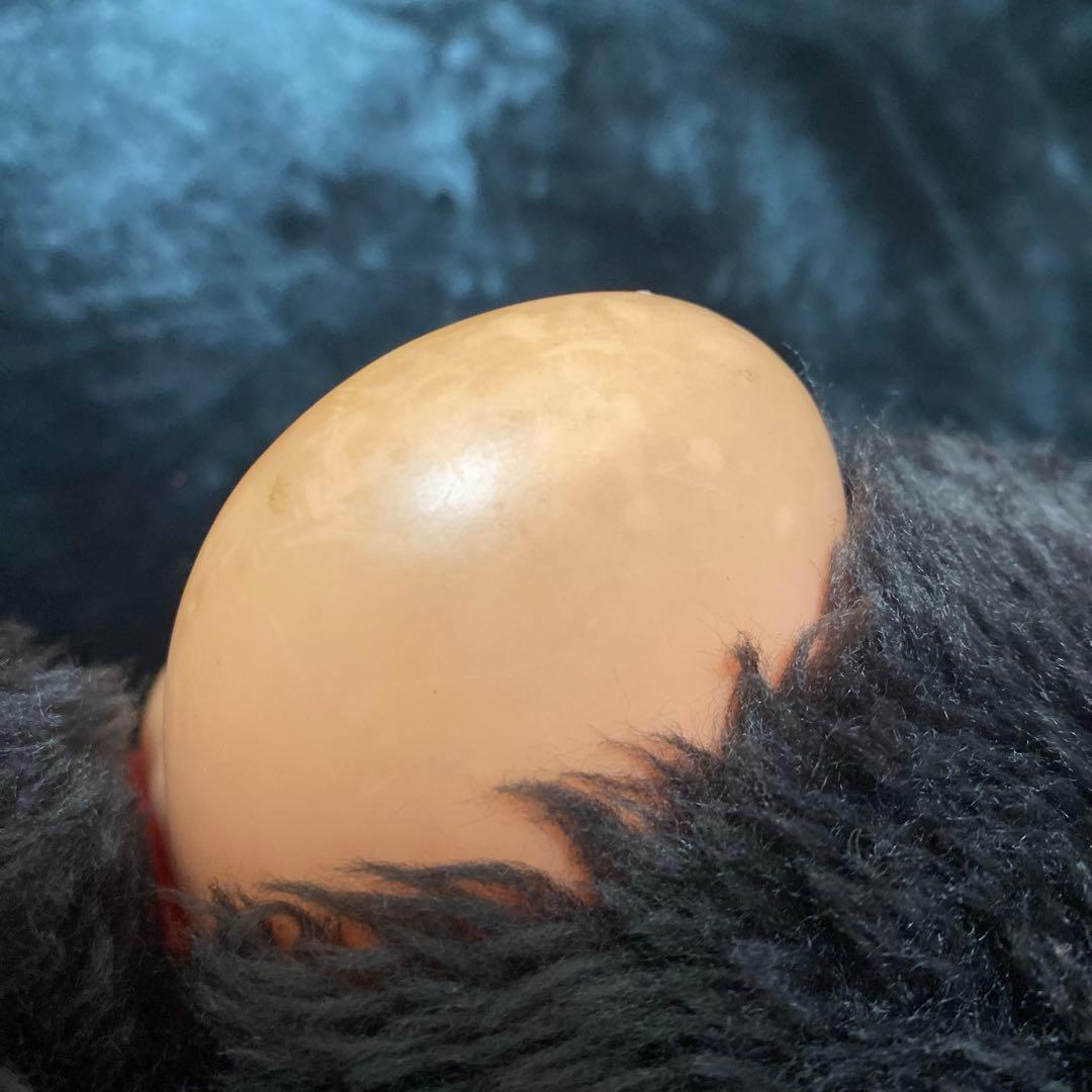 モンチッチ ぬいぐるみ 大きいサイズ 赤いスカーフ付き