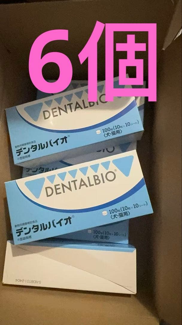 DENTALBIO デンタルケア用品 100個入り 6箱セット
