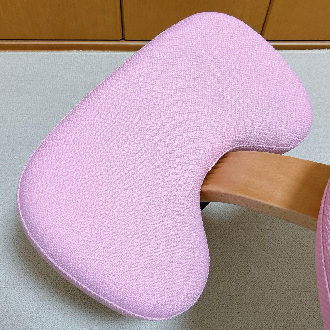 えんがわ‼️●美品●バランスイージー　【専用撥水カバー付】ショートフレーム