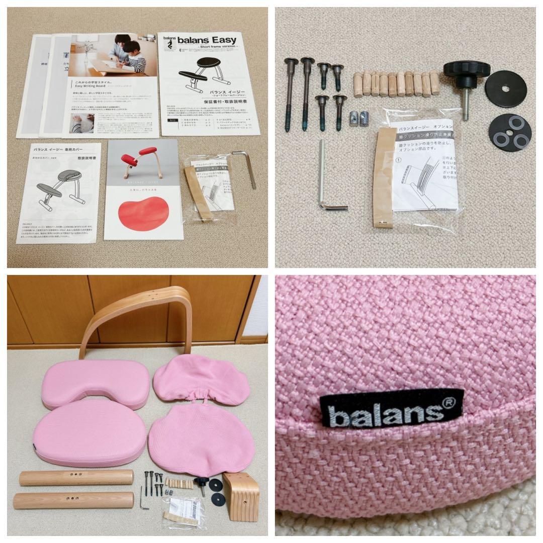 えんがわ‼️●美品●バランスイージー　【専用撥水カバー付】ショートフレーム