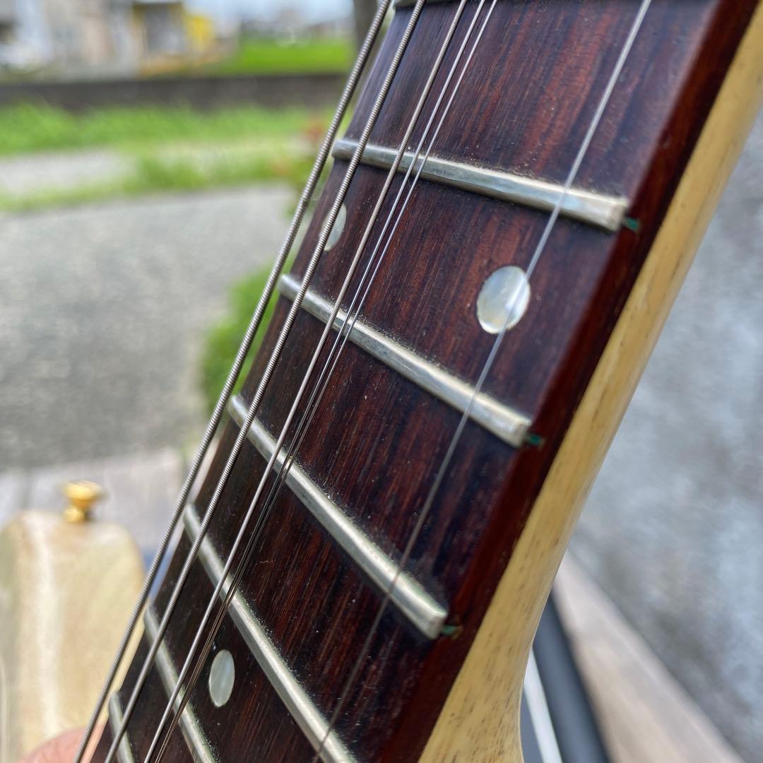 予約　　　ファイヤーバード ノンリバースTV WHITE