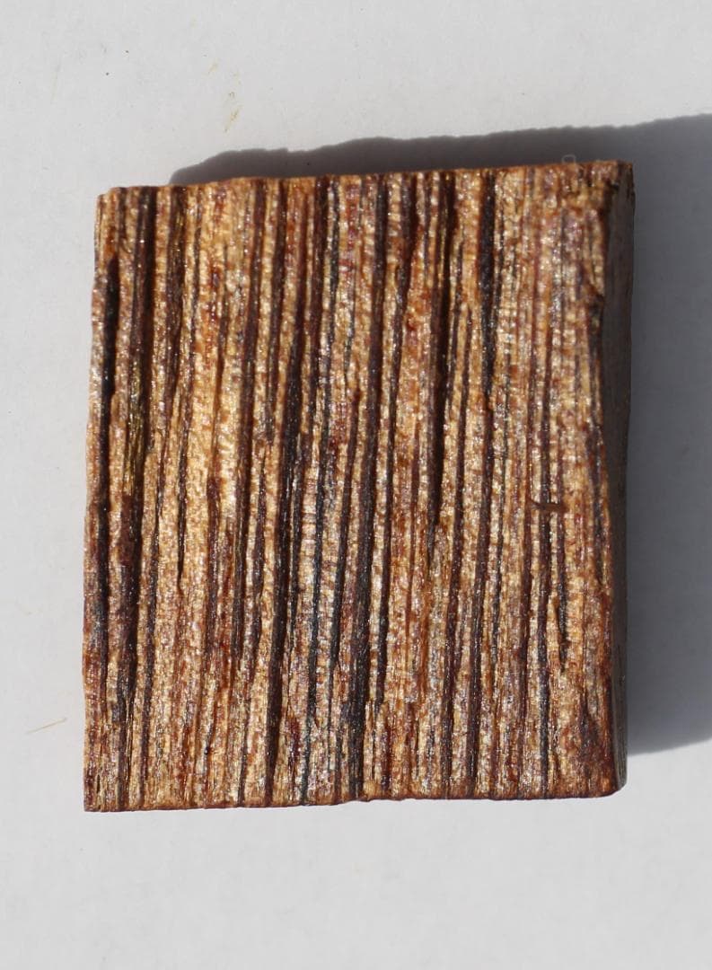 香木 古渡命銘木「浅緑」小分け 約0.54g 伽羅 お香 沈香奇南 奇楠