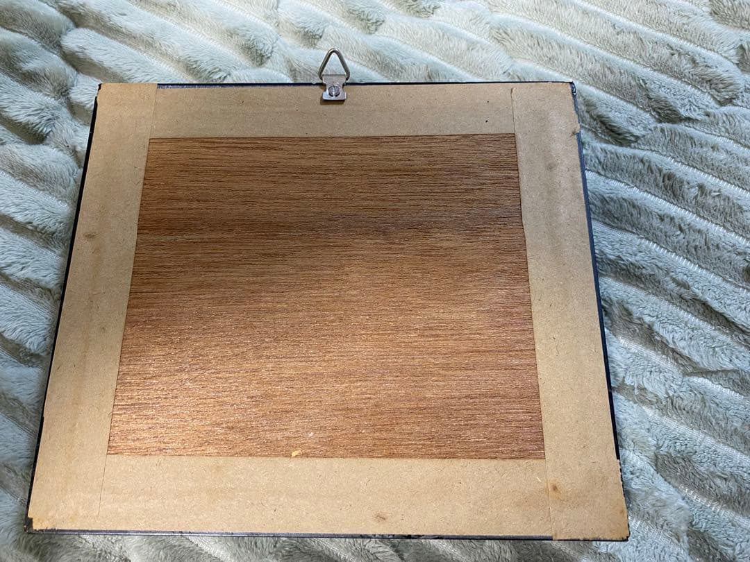 Morpho didius 蝶 標本 青色THE GREAT BLUE モルフォ