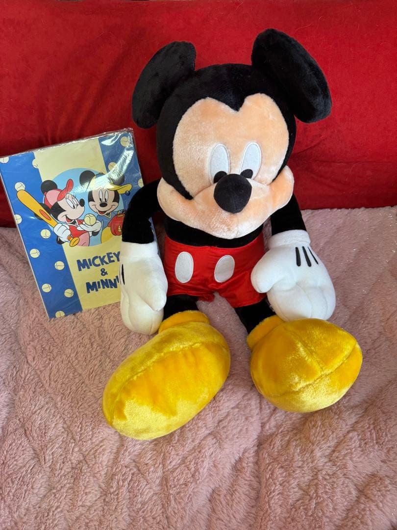 ディズニーランド 15周年 ミッキーマウス ビッグぬいぐるみ バインダー