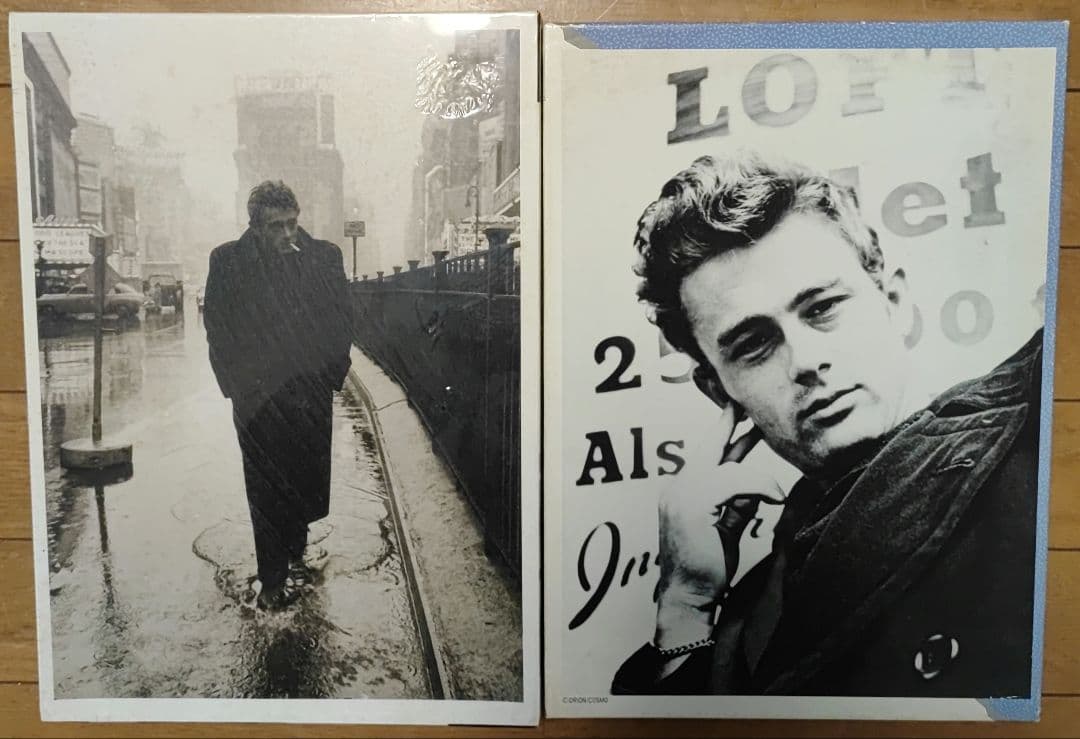 未使用 james dean パズル ジグソーパズル ジェームス・ディーン