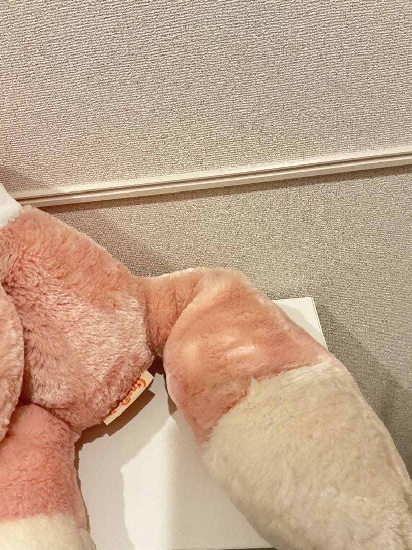 み*こ様 ラプンツェル♪