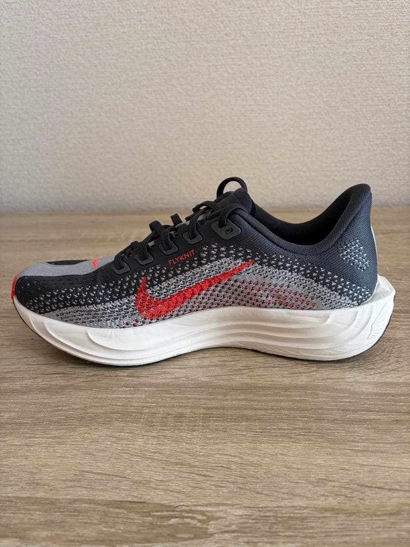 １回使用 ナイキ ペガサスプラス NIKE 25cm メンズ