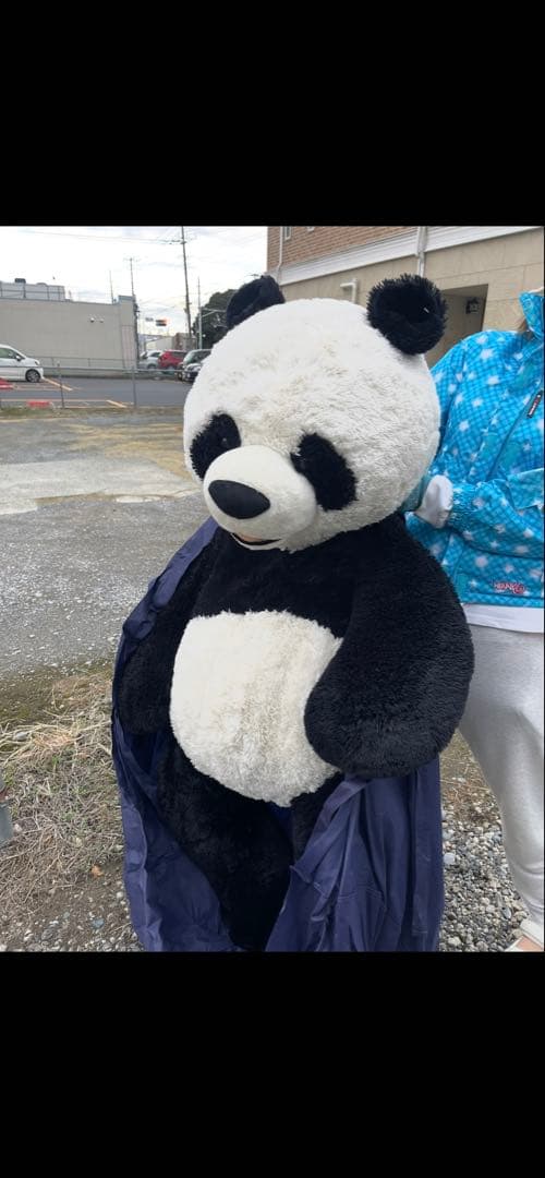 大きなパンダのぬいぐるみ