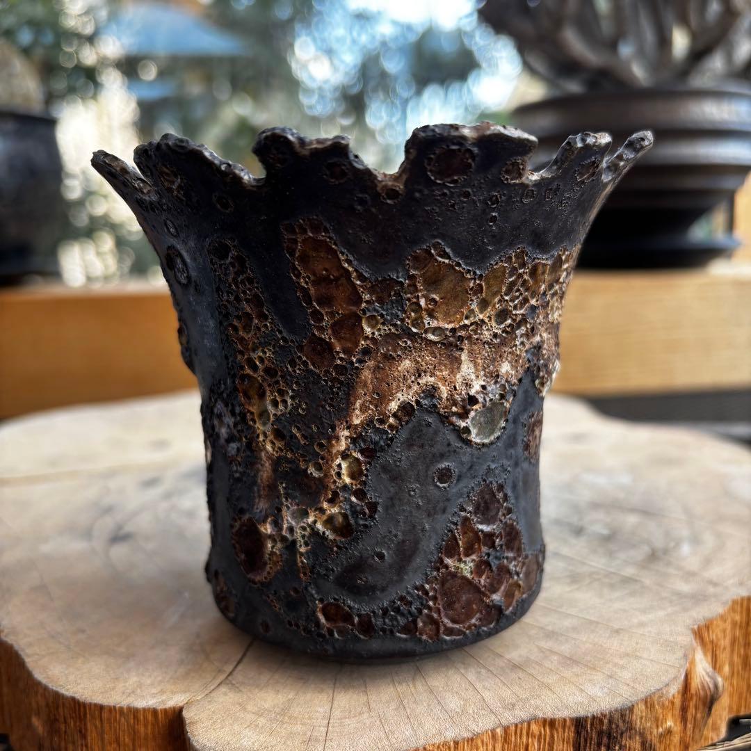 美品 中川智治 作家鉢 植木鉢 発泡 アガベ グラキリス パキプス 塊根