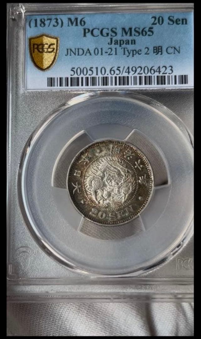 高鑑定　完全未使用　1873年 20銭 はね明　竜図面　鏡面状　トーン