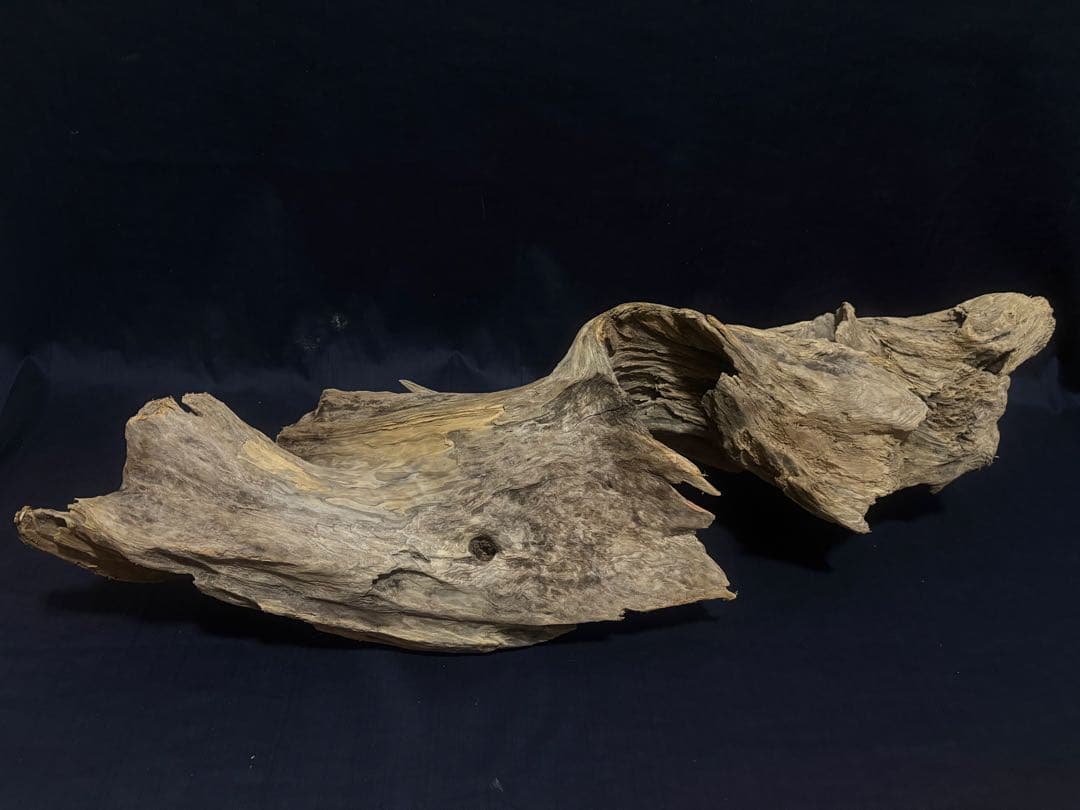 Ｇ88 爬虫類、両生類、シェルター、アクアテラリウム、インテリア、DIY