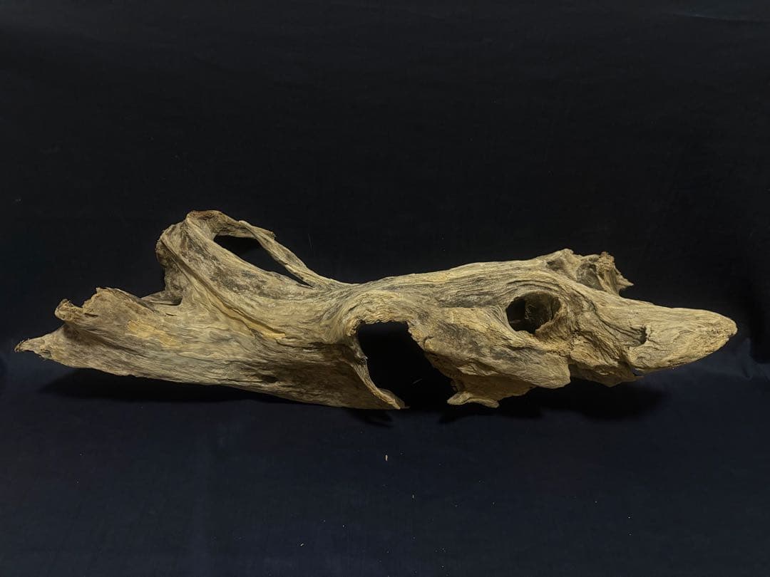 Ｇ88 爬虫類、両生類、シェルター、アクアテラリウム、インテリア、DIY