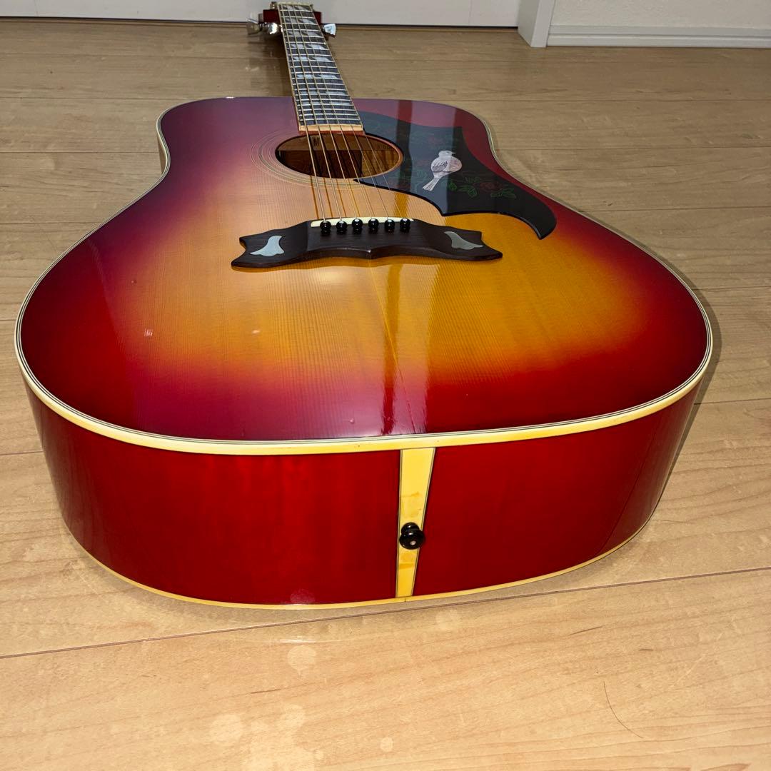 激レア美品Morris WD-35 DOVE コピー日本製　　ジャパンビンテージ