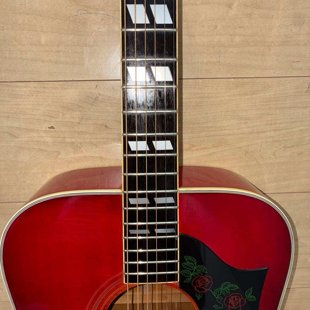 激レア美品Morris WD-35 DOVE コピー日本製　　ジャパンビンテージ