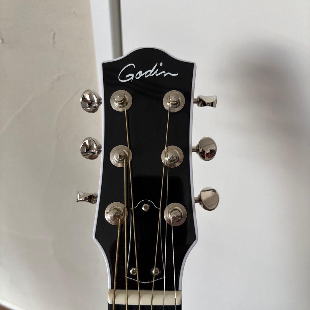 ギター GODIN GUITAR Rialto JR Satina Gray HG