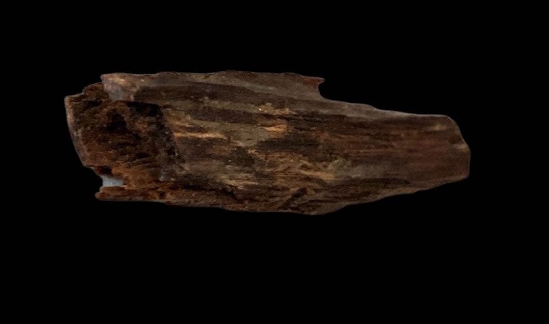 松栄堂(京都) 伽羅　香木　3.1 g