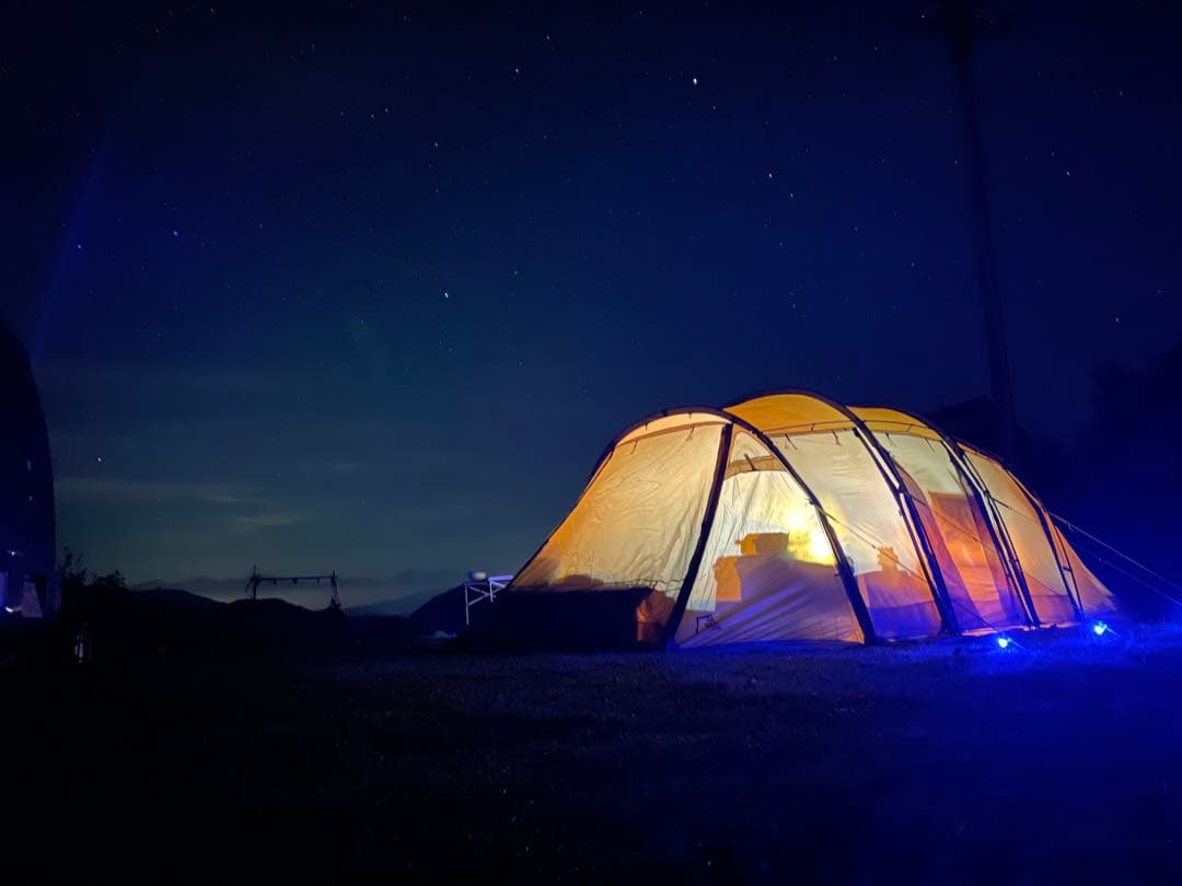 破格！サバティカル！アルニカ！