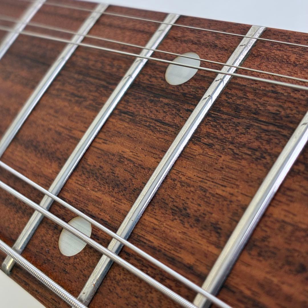 FERNANDES DIGI-ZO フェルナンデス デジゾー