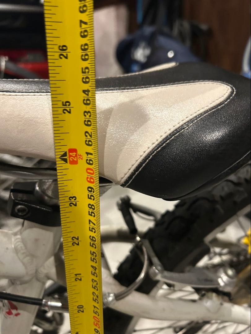 ルイガノ　子供用　自転車　キッズ 女の子　男の子　ジュニア24インチ