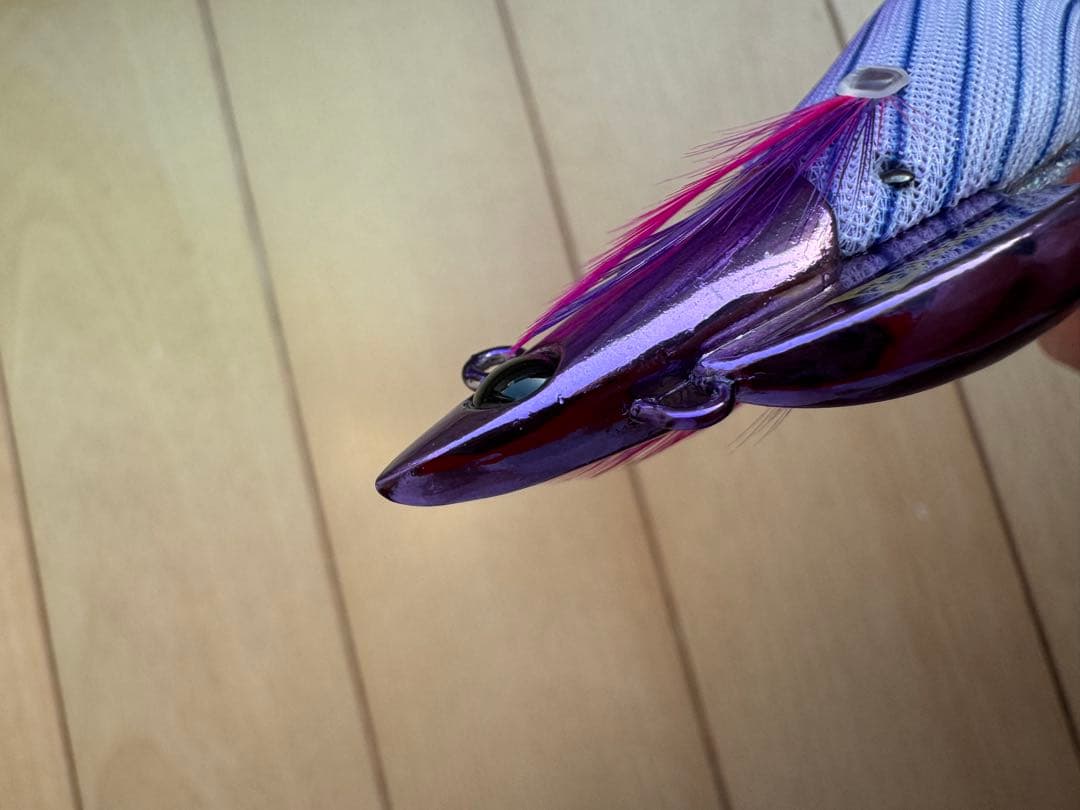 ティップラン用エギ5本セット