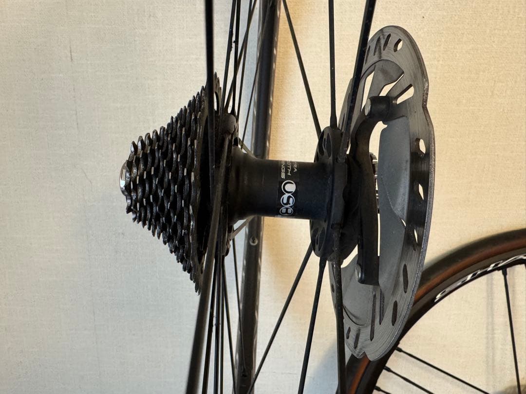 パーツ CAMPAGNOLO SHAMAL ULTRA DISC