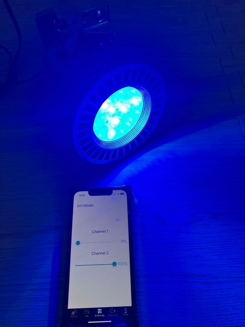 グラッシーレディオRX122s deep＋BT2＋クリップ　セット