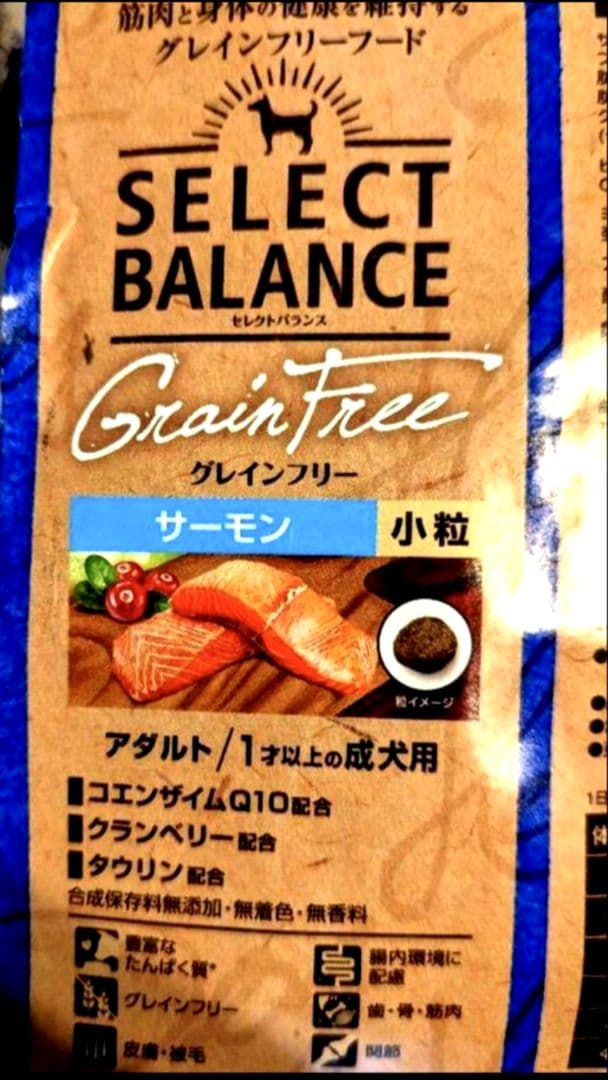 セレクトバランス グレインフリー アダルト サーモン 成犬用 10kg✕２