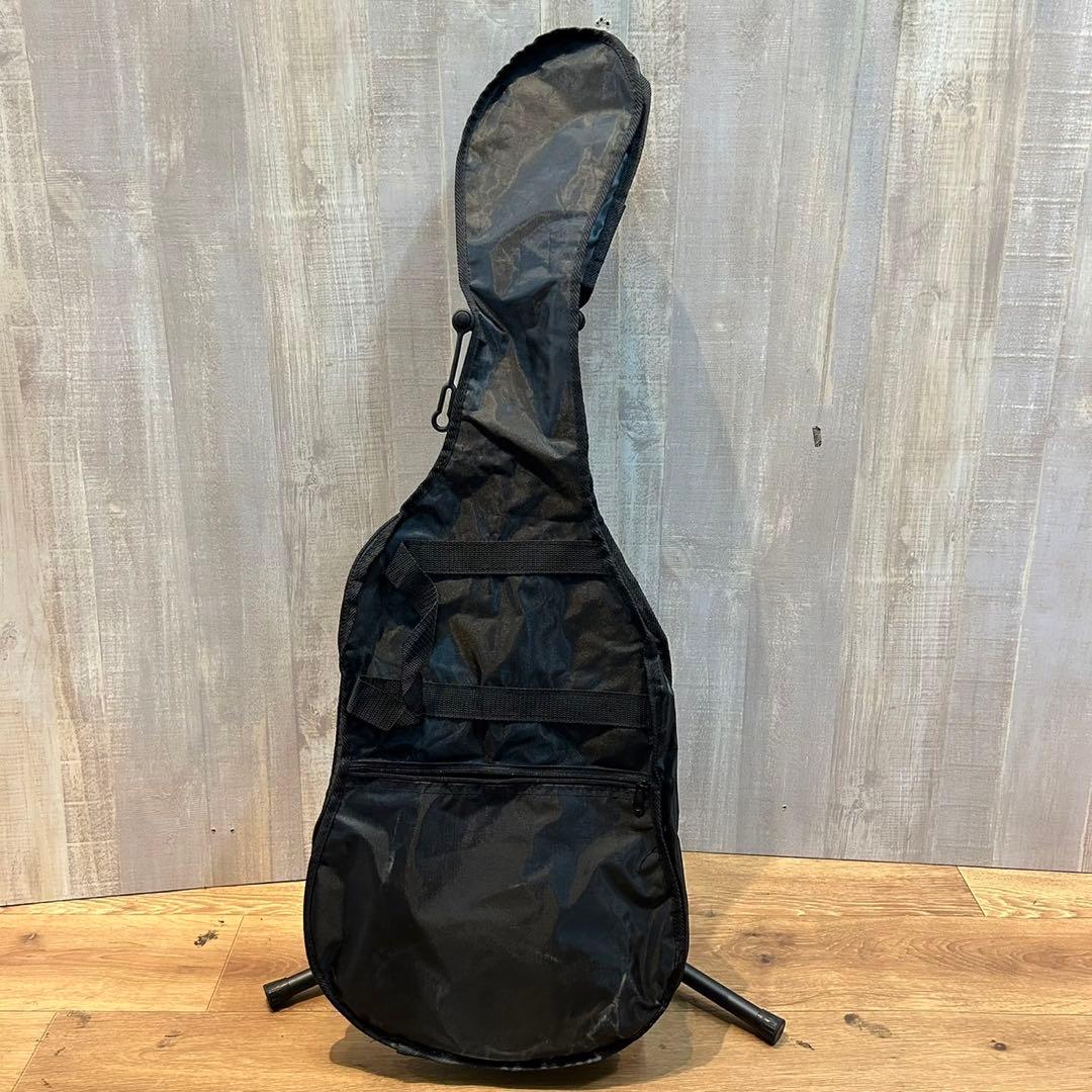 エレキギター SELDER 黒　ソフトケース付き