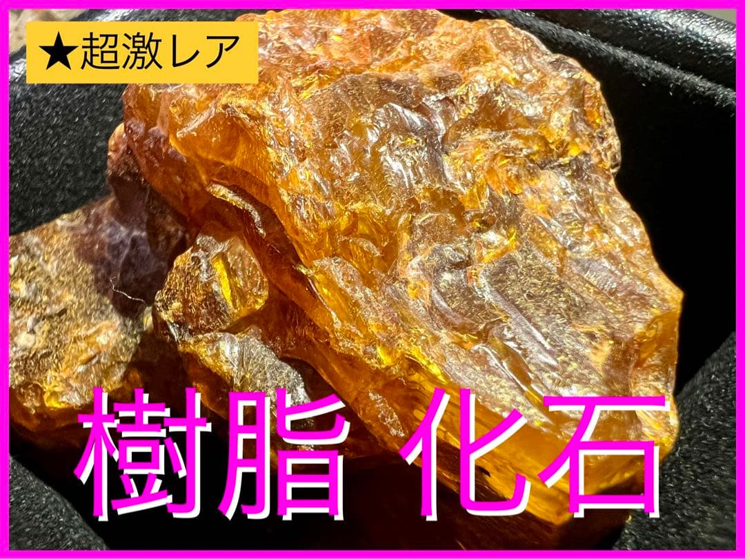 樹脂の化石【超激レア】