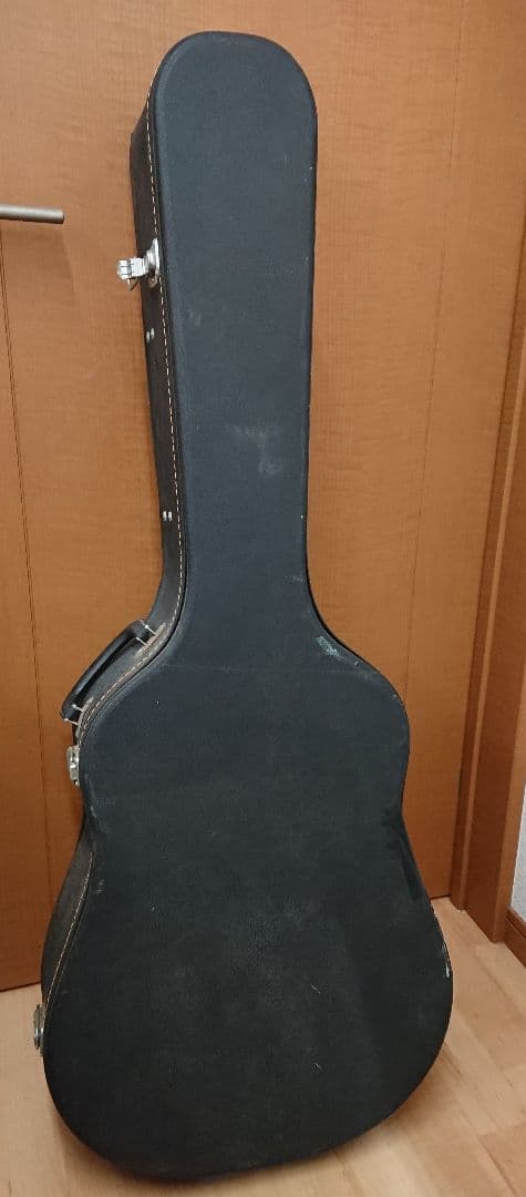 H1 アコースティックギター Chaki W-50 ピック多数 ハードケース付き