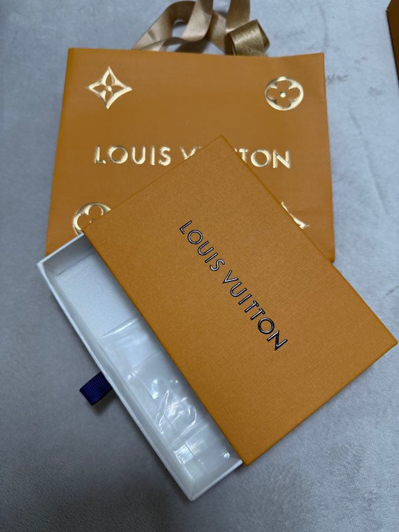 LOUIS VUITTON シルバーピアス