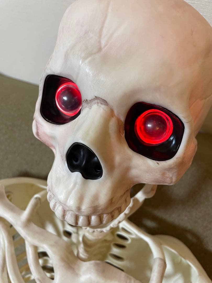 【デカすぎ！】ガイコツ　ハロウィン　人体模型　骨　ハロウィン　150cm