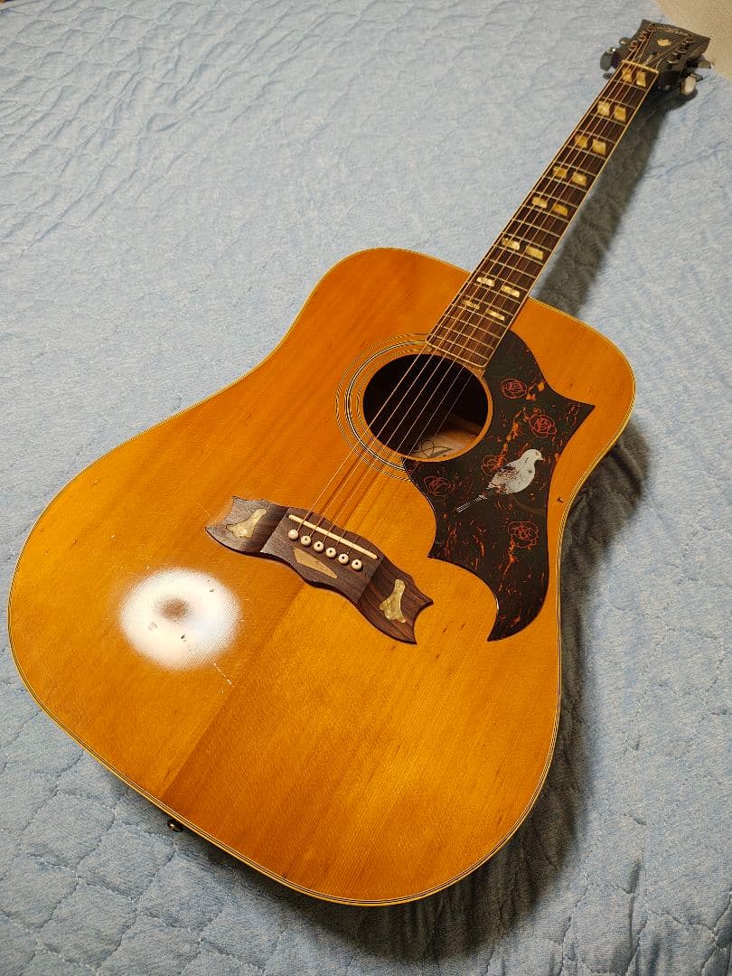 AriaハミングバードWD-33/ハードケース