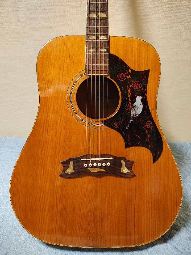 AriaハミングバードWD-33/ハードケース