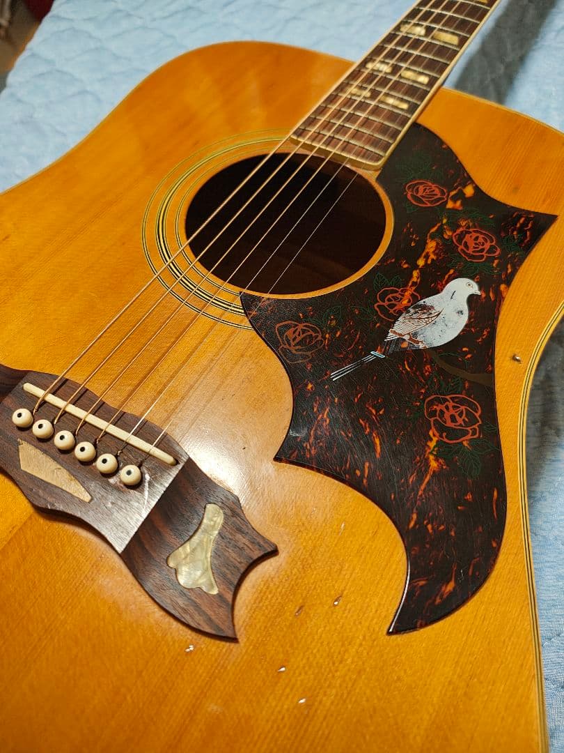 AriaハミングバードWD-33/ハードケース