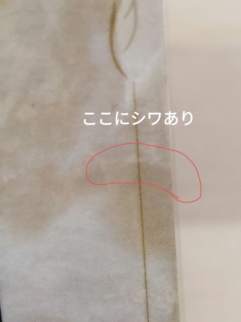 ポケモンスタンプ スタジアム ポケモンだいすきクラブ トレーナーズカード　非売品