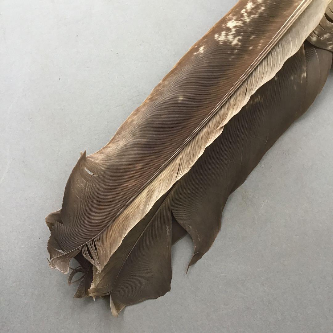 茶道具　羽箒(孔雀羽入り) 紙箱(修復歴あり、紙箱劣化有)　S21HB