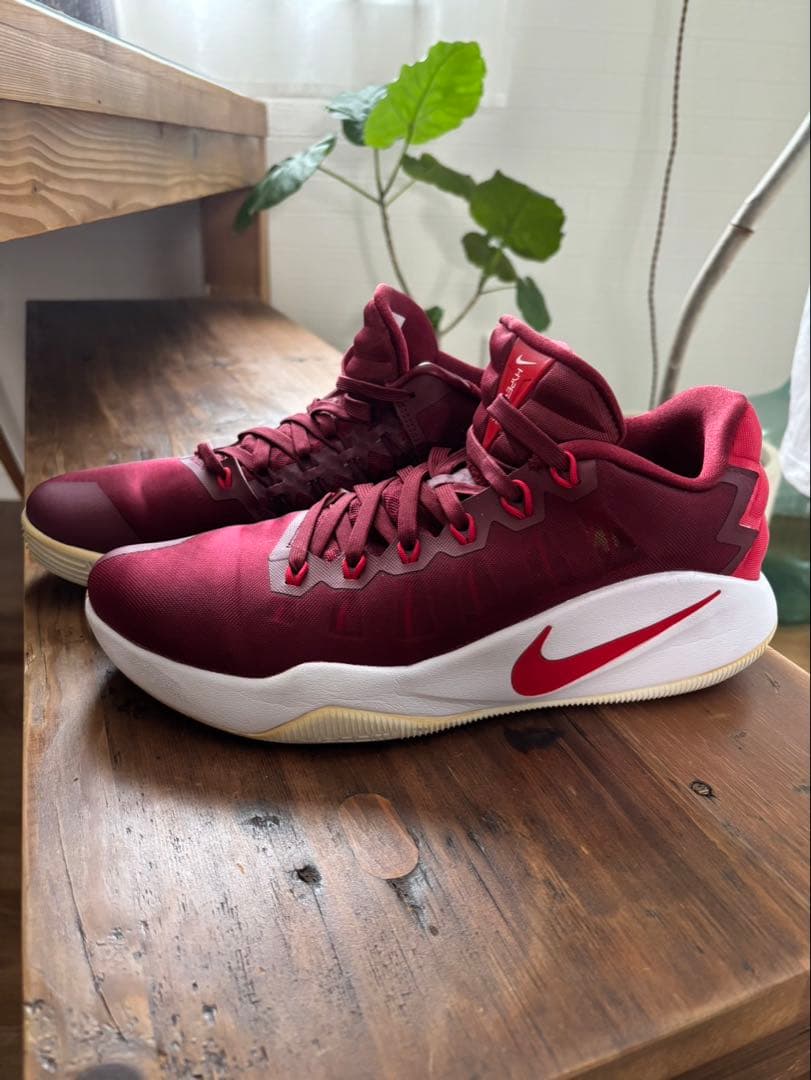 NIKE ハイパーダンク2016 ローカットタイプ