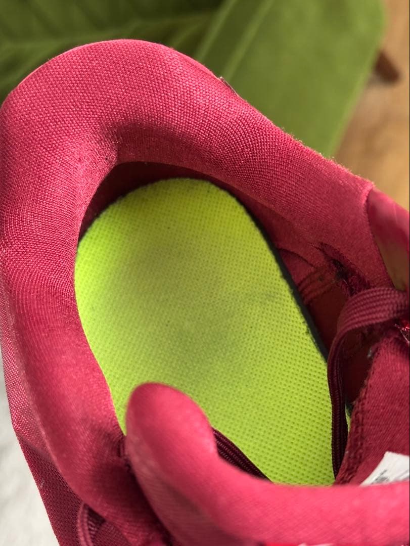 NIKE ハイパーダンク2016 ローカットタイプ