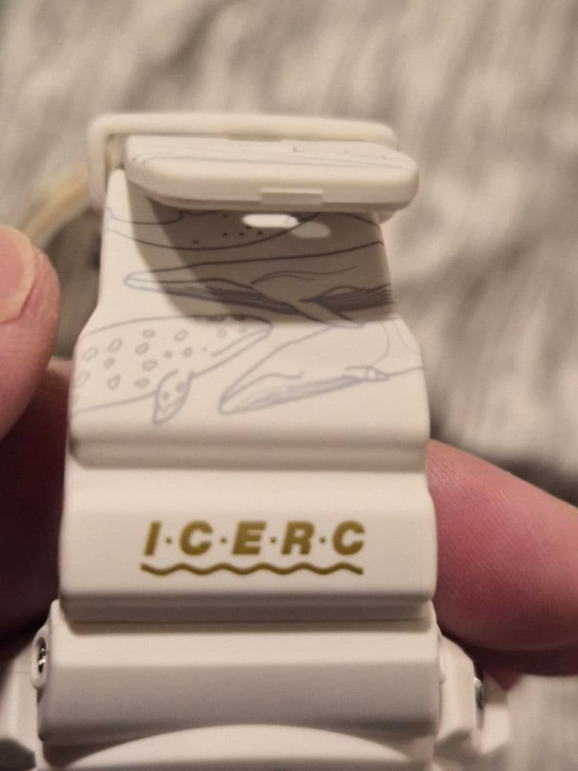 CASIO G-SHOCK イルクジ30周年記念モデル GW-6904K-7JR